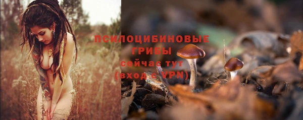 твердый Кукмор