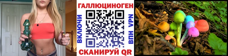 Купить закладки  Дмитров  Галлюциногенные грибы Psilocybine cubensis 